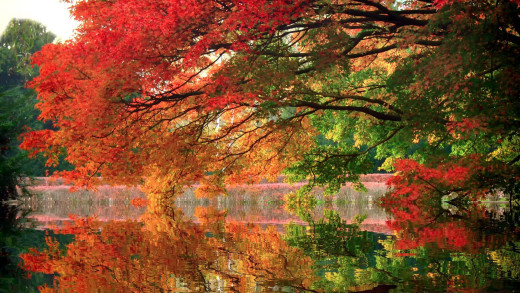 1334316 (a): :1920x1080